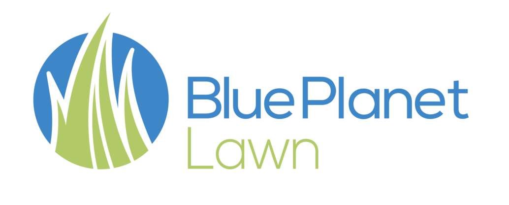blueplant-lawn_final-01-1