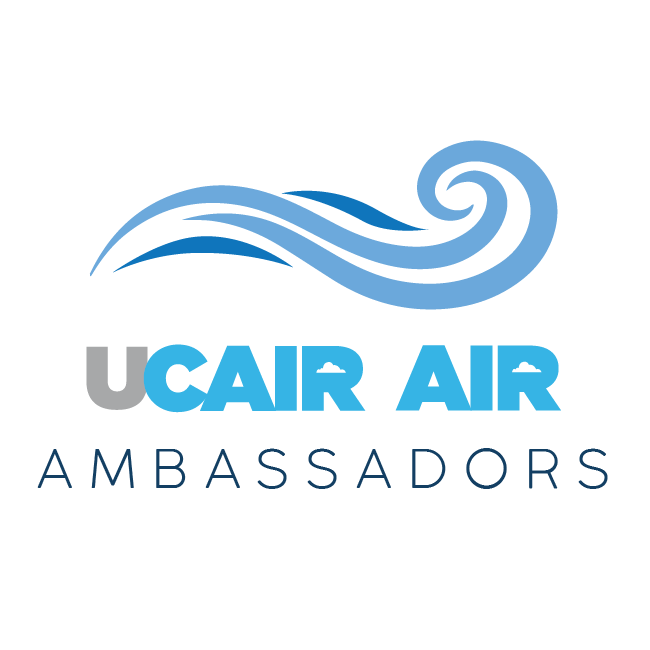 Air Ambassadors Logo