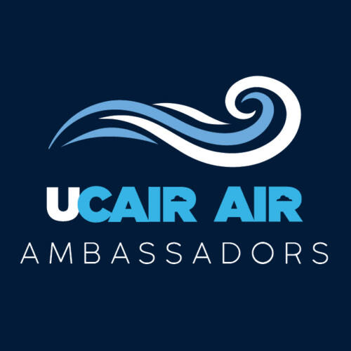 Air Ambassadors Logo